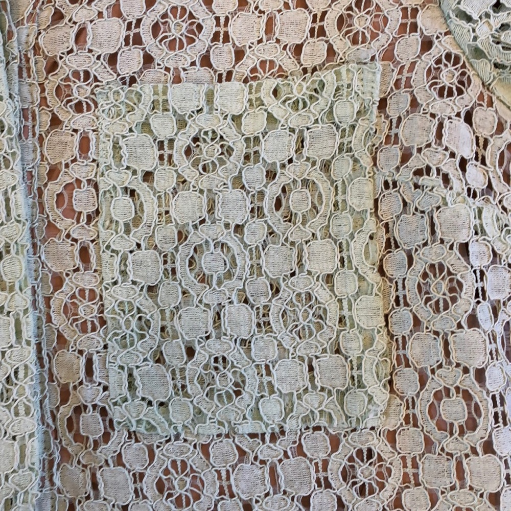 Victoria Beckham for Target Lace Dress - Picture 4 of 5